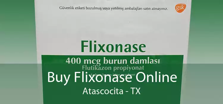 Buy Flixonase Online Atascocita - TX
