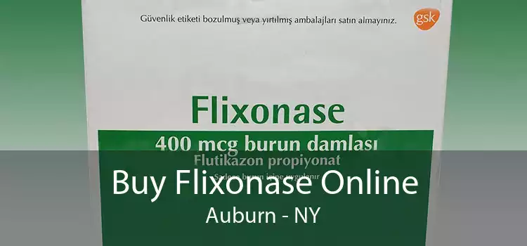 Buy Flixonase Online Auburn - NY