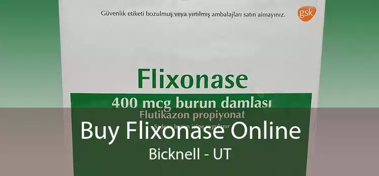 Buy Flixonase Online Bicknell - UT