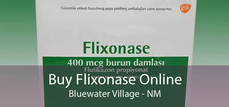 Buy Flixonase Online Bluewater Village - NM