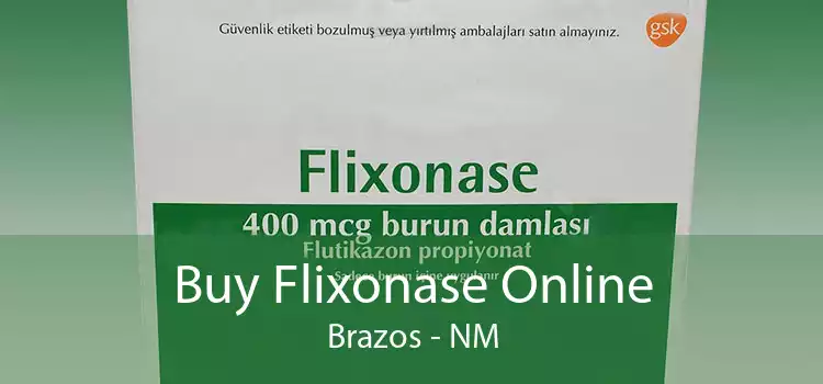 Buy Flixonase Online Brazos - NM
